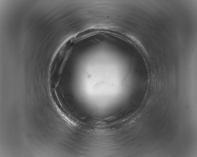 X0000080790976200701021220