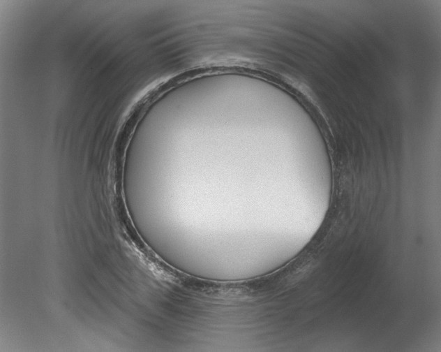 X0000080790979200701021219