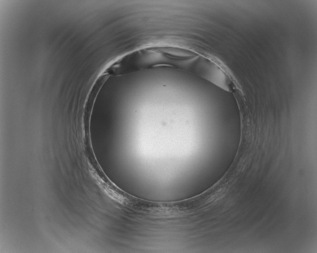 X0000080790980200701021219