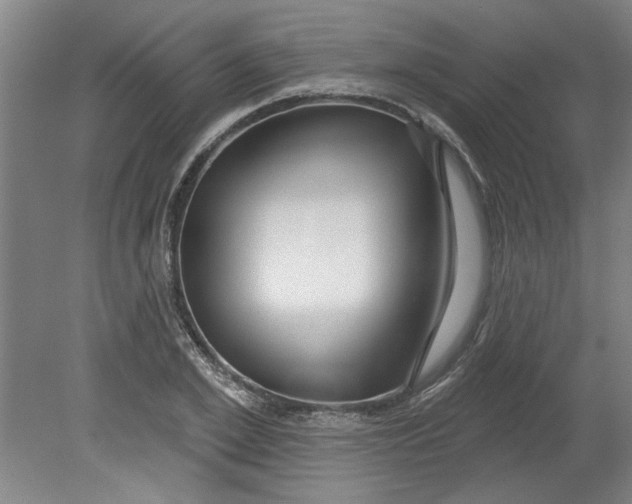 X0000080790981200701021219