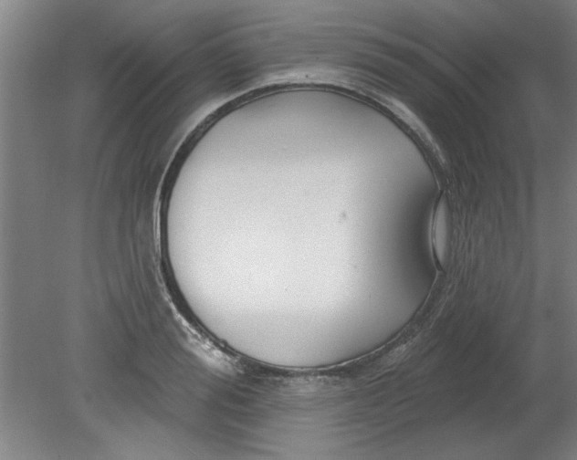X0000080790988200701021219