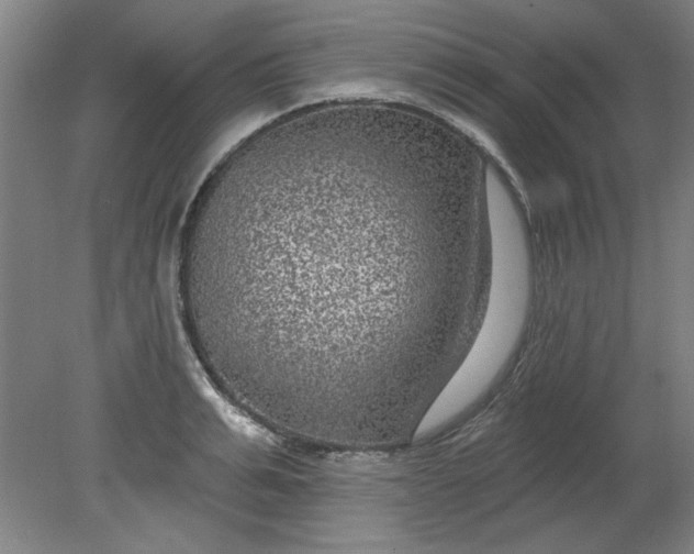 X0000080790991200701021219