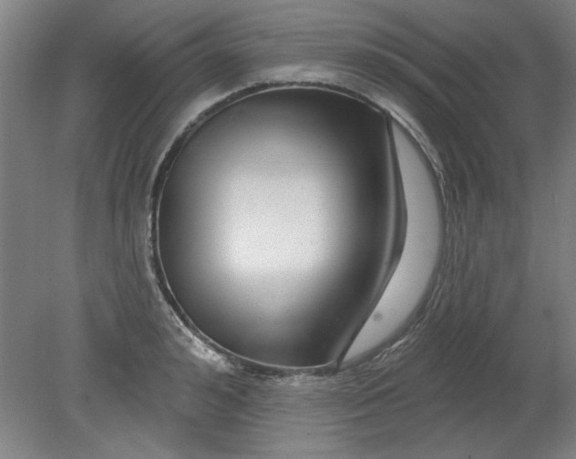 X0000080790992200701021219