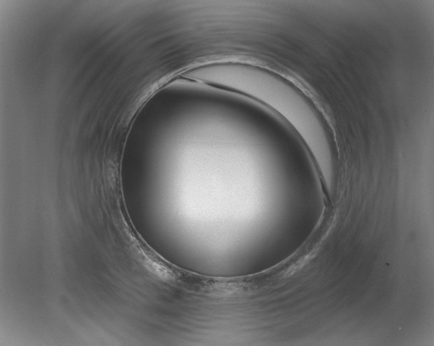 X0000080790993200701021219