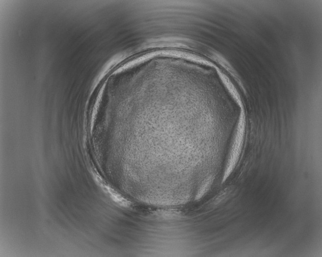X0000080790994200701021219