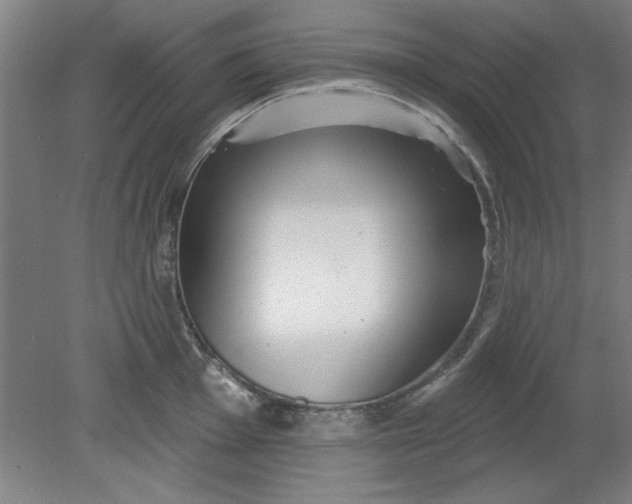X0000080791001200701021219
