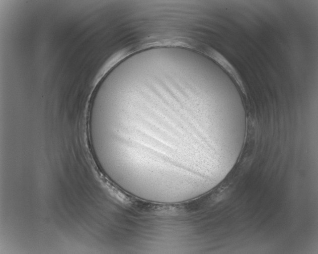 X0000080791002200701021219