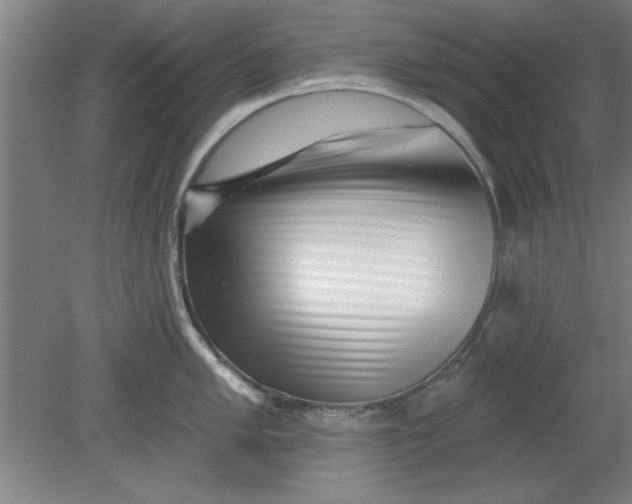 X0000080791005200701021219