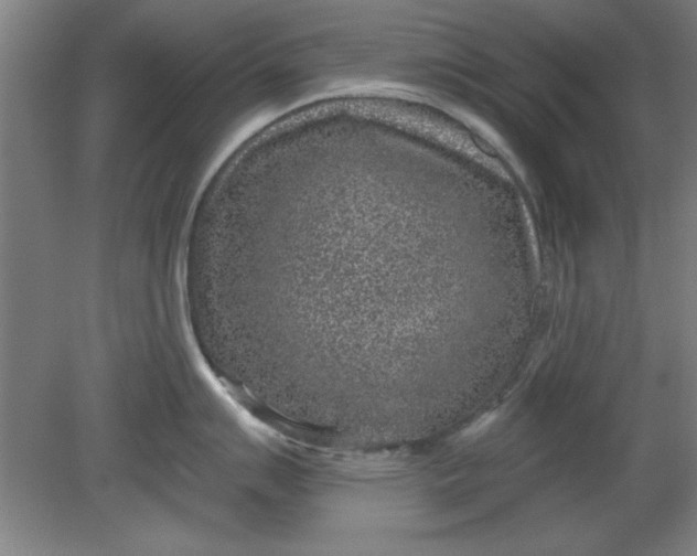 X0000080791007200701021219