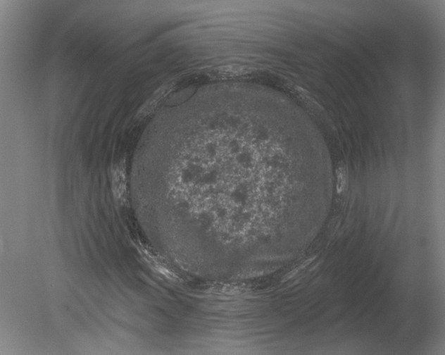 X0000080791011200701021218