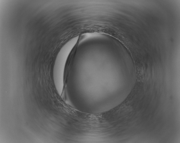 X0000080791013200701021218