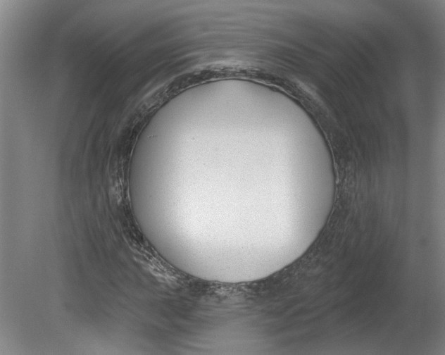 X0000080791015200701021218