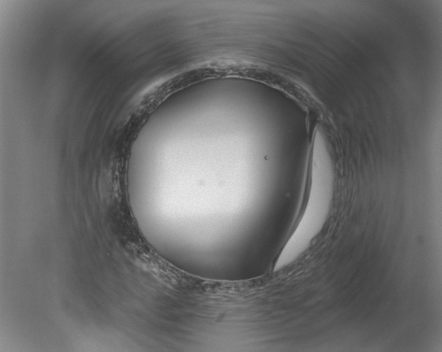 X0000080791016200701021218