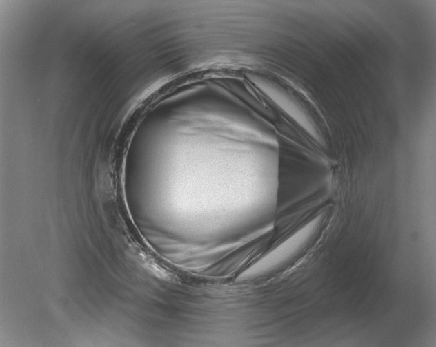 X0000080791018200701021218