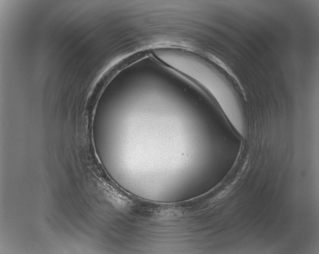 X0000080791021200701021218