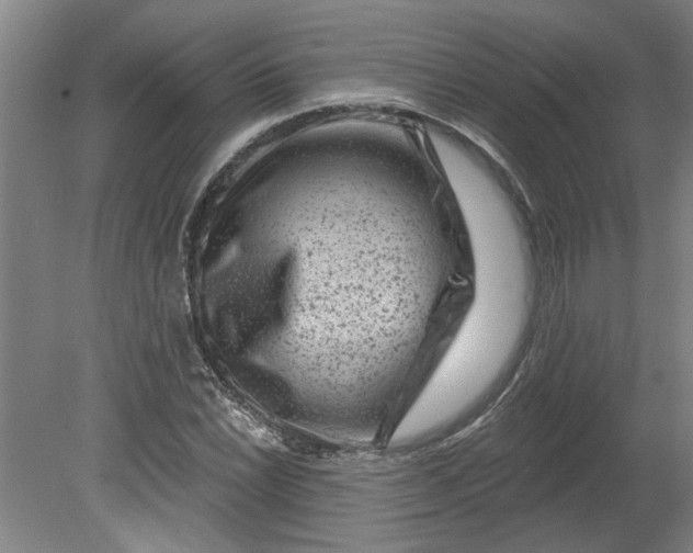 X0000080791022200701021218