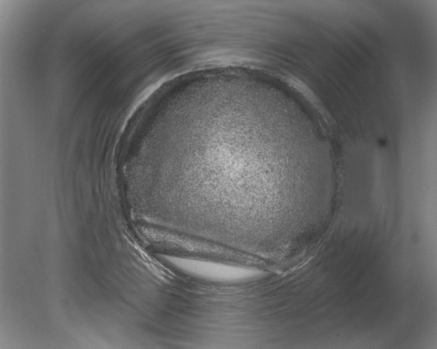 X0000080791023200701021218