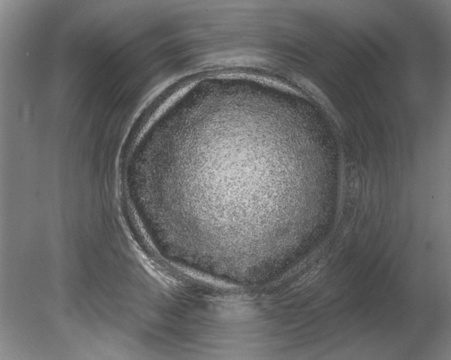 X0000080791031200701021219