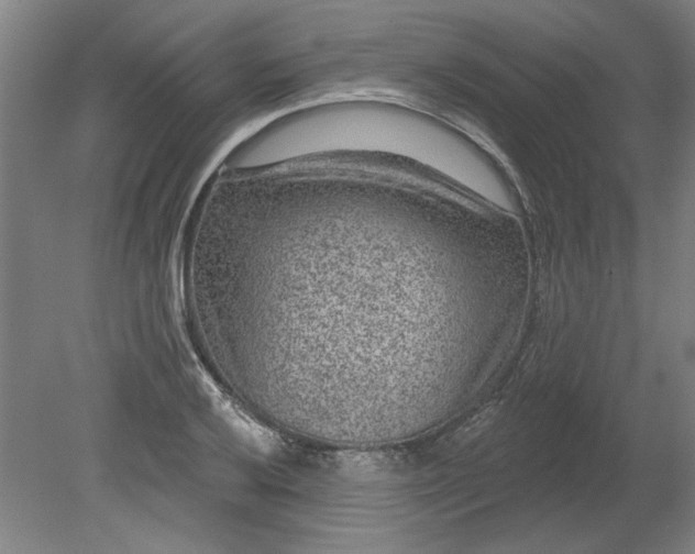X0000080791032200701021219