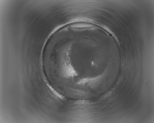 X0000080791037200701021219