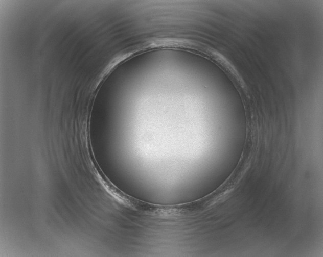 X0000080791041200701021219