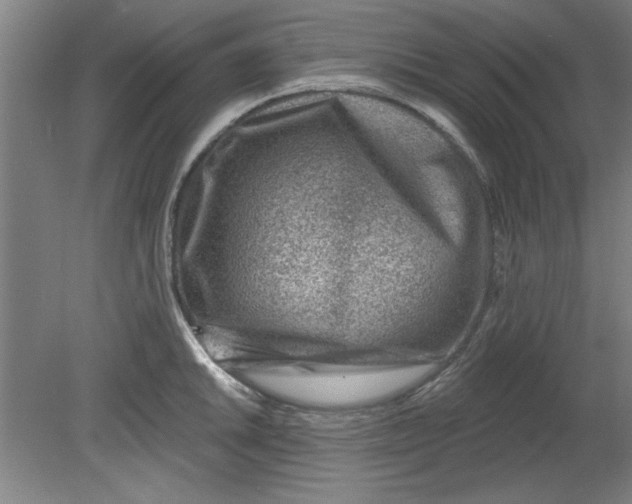 X0000080791046200701021219