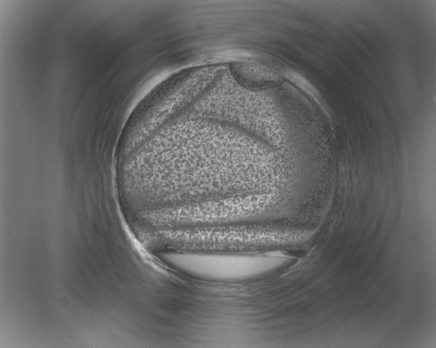 X0000080791047200701021219