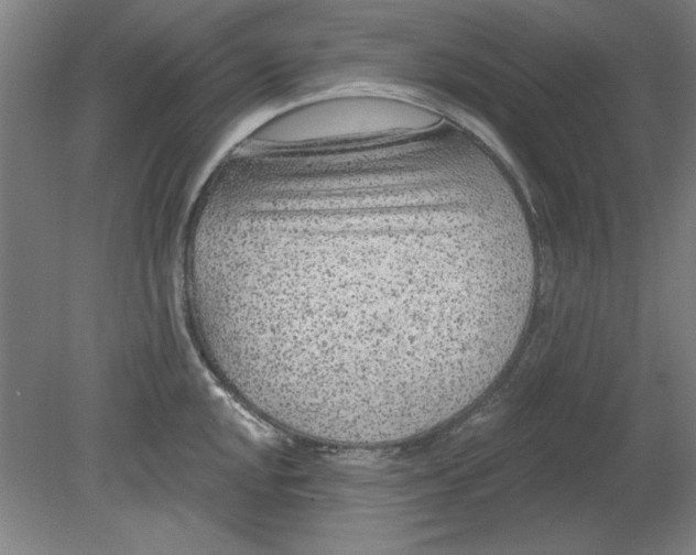 X0000080791048200701021219