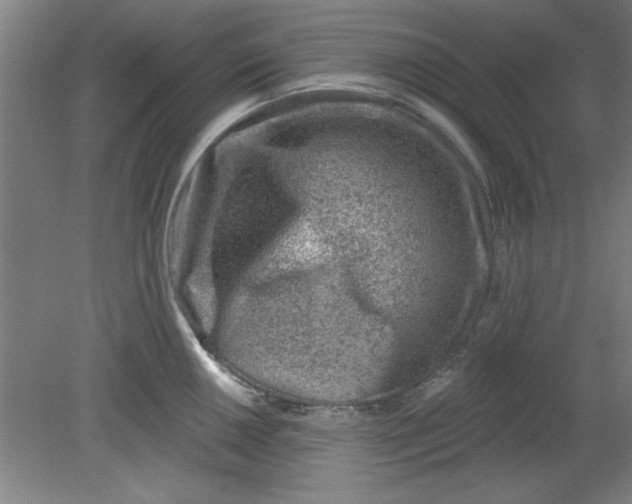 X0000080791050200701021219