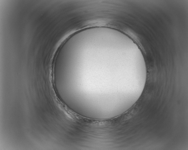 X0000080791051200701021219