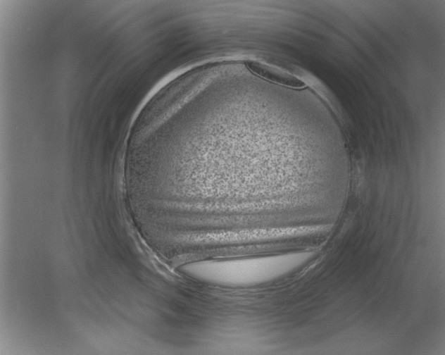 X0000080791052200701021219