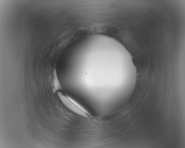 X0000080791058200701021218