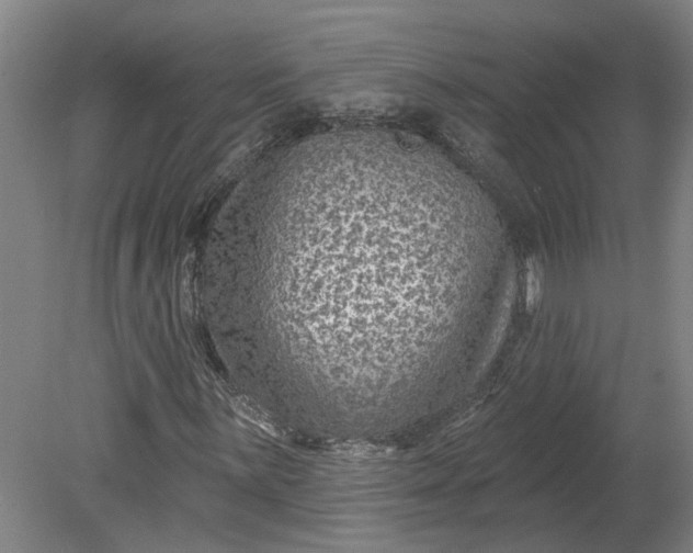 X0000080791059200701021218