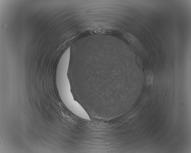 X0000080791060200701021218