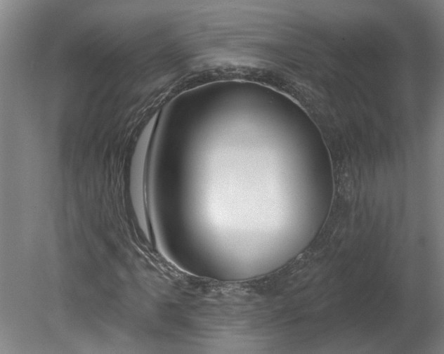 X0000080791061200701021218