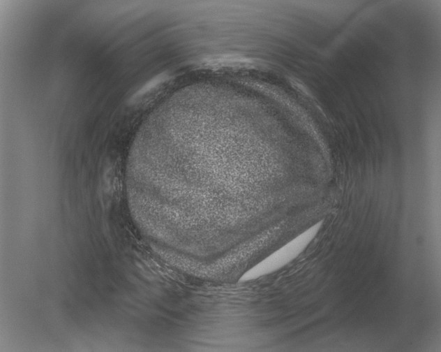 X0000080791063200701021218