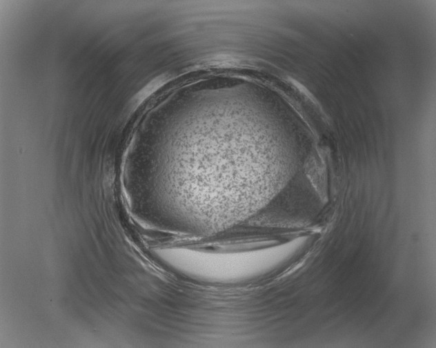 X0000080791065200701021218