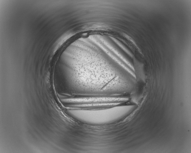 X0000080791066200701021218