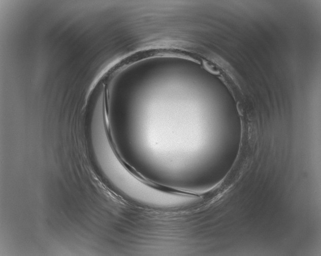 X0000080791069200701021218
