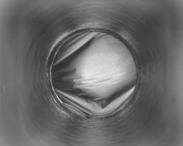 X0000080791070200701021218