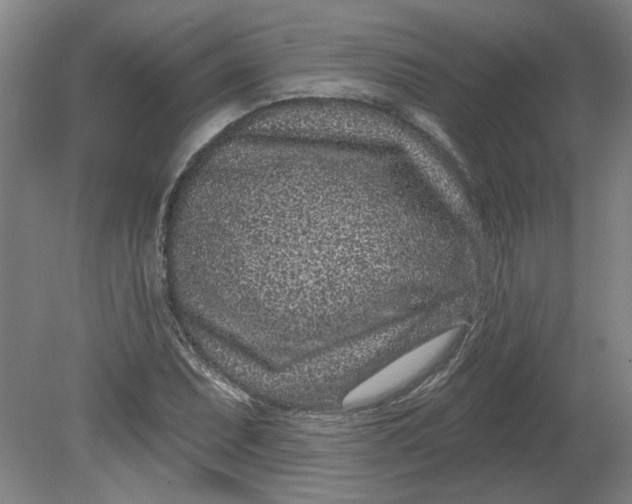 X0000080791071200701021218