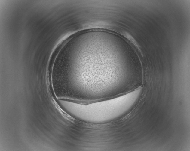 X0000080791072200701021218