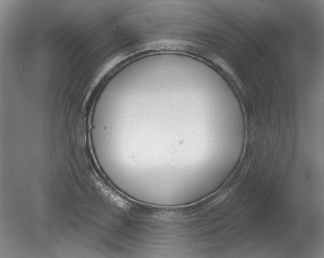X0000080791075200701021218