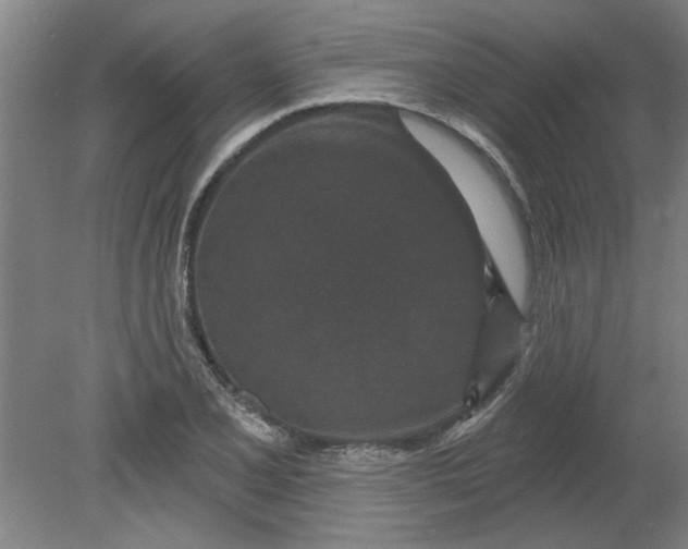 X0000080791077200701021218