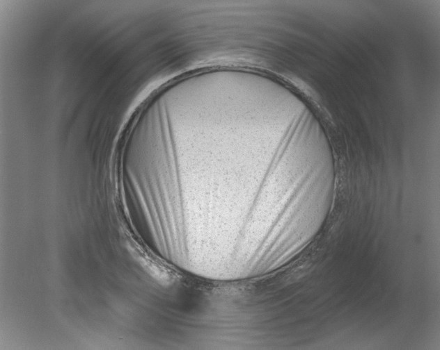 X0000080791078200701021218