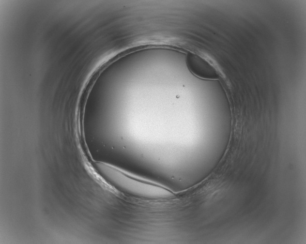 X0000080791080200701021218