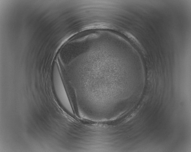 X0000080791081200701021218