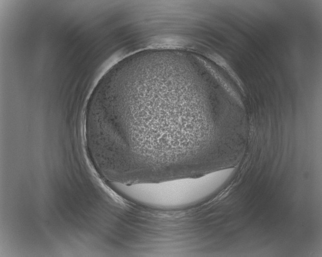 X0000080791083200701021218