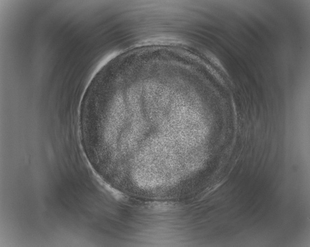 X0000080791087200701021218