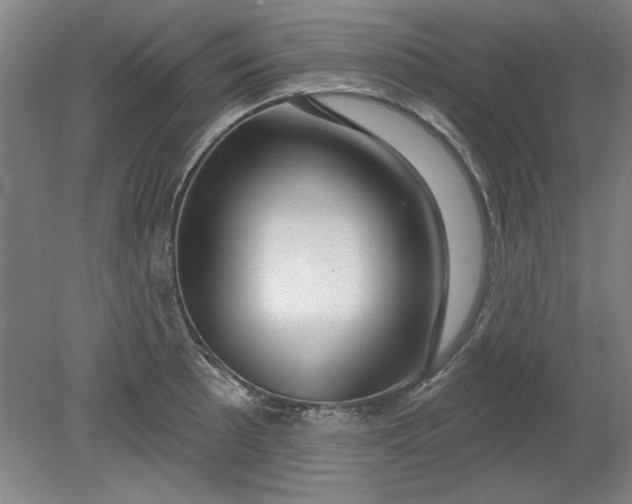X0000080791089200701021218
